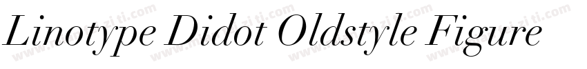 Linotype Didot Oldstyle Figures RomanI字体转换
